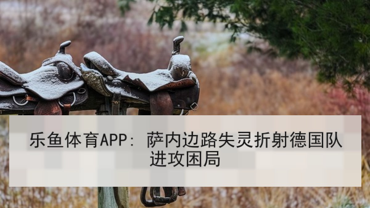 乐鱼体育APP: 萨内边路失灵折射德国队进攻困局