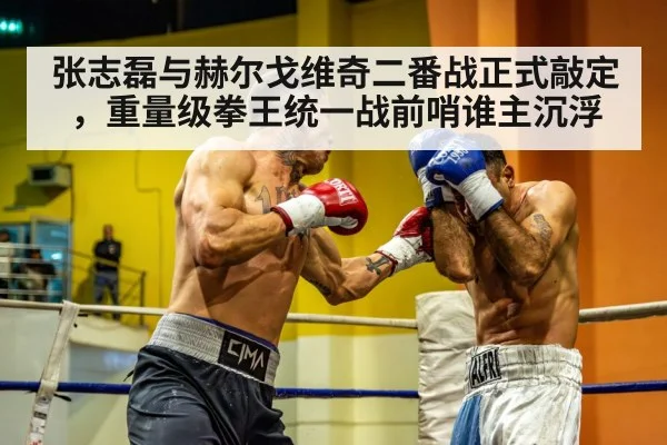 张志磊与赫尔戈维奇二番战正式敲定，重量级拳王统一战前哨谁主沉浮