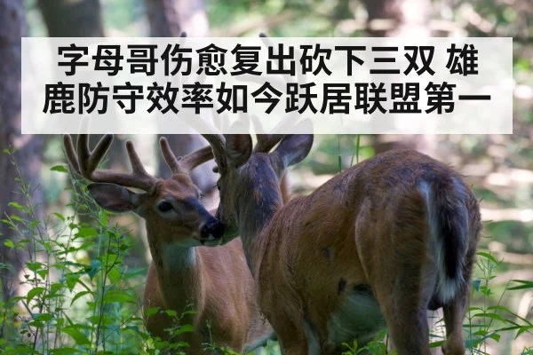 字母哥伤愈复出砍下三双 雄鹿防守效率如今跃居联盟第一